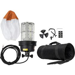 Buyers Products 1493100 Portable 12V 100W LED Glare-Free Balloon Light - BUY 1493100