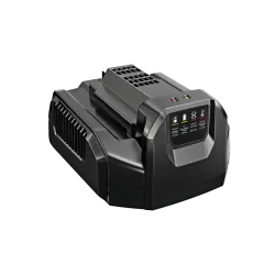 EGO CH1000PD 100W PD Charger 