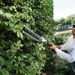 EGO HTX5310-P Commercial 21" 56V Extended Pole Hedge Trimmer Tool Only (42" Shaft Length) - EGO HTX5310-P