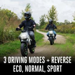 EGO MB1005-2 Mini Bike Kit w/ (2) 7.5Ah Batteries & 560W Dual-Port Charger - EGO MB1005-2