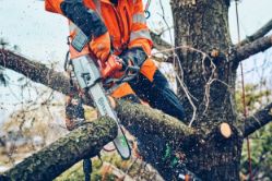 Husqvarna 970646914 T542iXPG 14" Battery-Powered Heated Top Handle Chainsaw (Tool Only)  - HUS 970646914