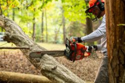 Husqvarna 970702318 450S Rancher 50.2cc 20-Inch Gas Chainsaw w/ X-Torq Engine & Smart Start - HUS 970702318