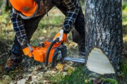 Husqvarna 970709038 445S 50.2cc 18-Inch Gas Chainsaw w/ X-Torq Engine & Smart Start - HUS 970709038