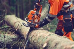 Husqvarna 970711508 564XP Fuel-Injected 62.4cc 18-Inch Professional Gas Chainsaw - HUS 970711508