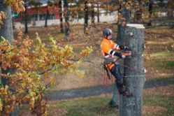 Husqvarna 970851916 550i XP 40V 18-Inch Professional Battery Chainsaw Kit w/ Battery & Charger - HUS 970851916