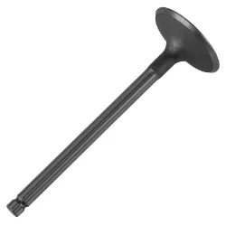 Kohler 62 017 01-S Intake Valve 