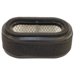 Stens 100-256 Air Filter Combo 