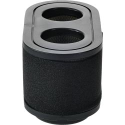 Stens 100-749 Air Filter Combo - STE 100-749