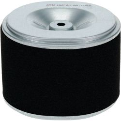 Stens 100-818 Air Filter Combo 