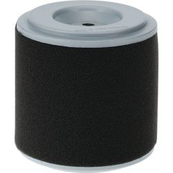 Stens 100-905 Air Filter Combo 