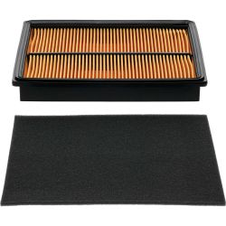 Stens 102-164 Air Filter Combo 