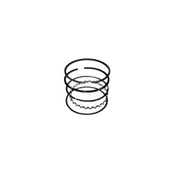 Rotary 10755 Piston Ring Set (Standard) 
