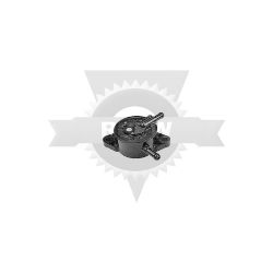 Rotary 10875 Fuel Pump 