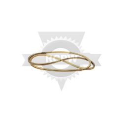 Rotary 12873 V-Belt 