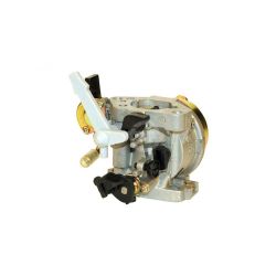 Rotary 13196 Carburetor 