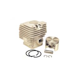 Rotary 13617 Cylinder & Piston Assembly 