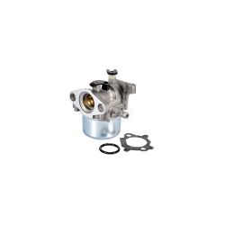Rotary 15859 Carburetor 