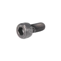 Rotary 3154 M5 x 12 Socket Head Bolt 