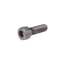Rotary 3156 M5 x 16 Socket Head Bolt 