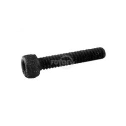 Rotary 3253 1/4"-20 x 5/8" Socket Screw 