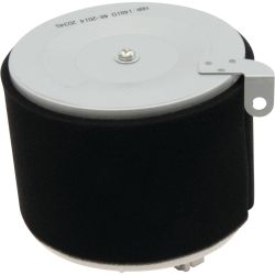 Stens 48-1013 Air Filter Kit - STE 48-1013