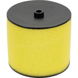 Stens 48-1030 Air Filter Kit - STE 48-1030