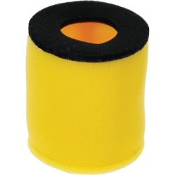 Stens 48-1062 Air Filter Kit 