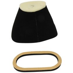Stens 48-1065 Air Filter Kit 