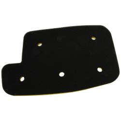 Stens 48-1071 Air Filter Kit - STE 48-1071