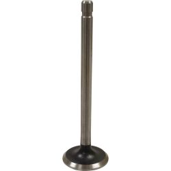 Stens 505-014 Intake Valve 