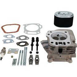 Stens 515-783 Cylinder Head Service Kit 