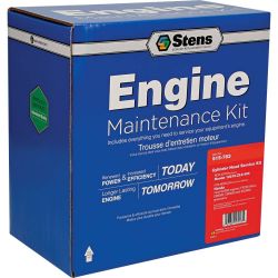 Stens 515-783 Cylinder Head Service Kit - STE 515-783