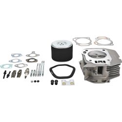 Stens 515-792 Cylinder Head Service Kit 