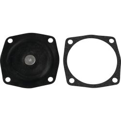 Stens 530-280 Diaphragm Kit 
