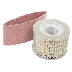 Stens 605-448 Air Filter Kit 