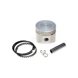 Rotary 6742 Piston Assembly (+.010) 