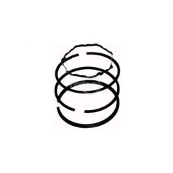 Rotary 6773 Piston Ring Set (+.010) 
