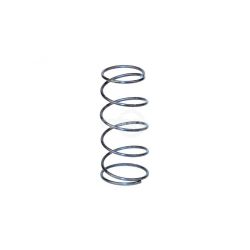 Rotary 6975 Head Spring 