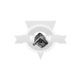 Exhaust & Exhaust Parts