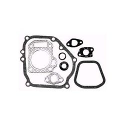 Rotary 9731 Gasket Kit 