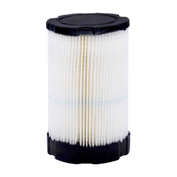 Ariens 21561900 Briggs & Stratton Air Filter - ARN 21561900
