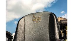Bobcat 4178719 Seat Non Supension - BOB 4178719