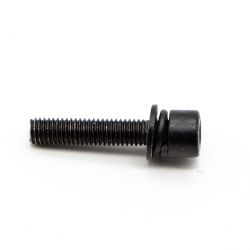 EGO 5620558001 Screw with Washer - EGO 5620558001