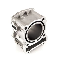 MTD 12100-004-0000 Complete Cylinder Body 