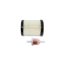 MTD 490-950-C060 Air/Fuel Briggs Kit - MTD 490-950-C060