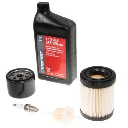 MTD 490-950-Y061 Maintence Briggs Kit 