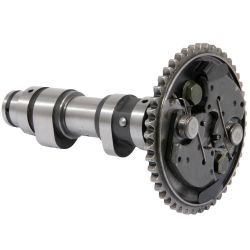 MTD 503-00992P Camshaft Assembly 