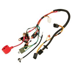 MTD 725-06041 CR12 NO RM Harness 