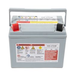 MTD 725P17130 230 CCA AG Battery - MTD 725P17130