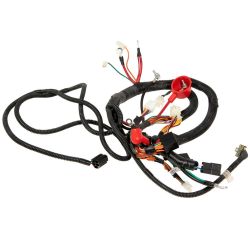 MTD 925-04106 Main Harness 